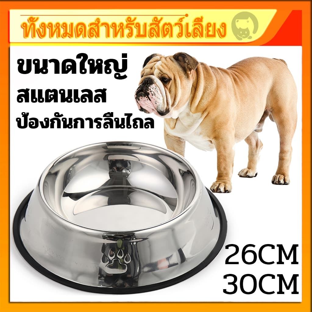 ขนาดใหญ่ ชามอาหารสัตว์เลี้ยง ชามแสตนเลส ที่ให้น้ํา อาหารแมว สุนัข ชามอาหารหมา ชามอาหารแมว ป้องกันการลื่นไถล