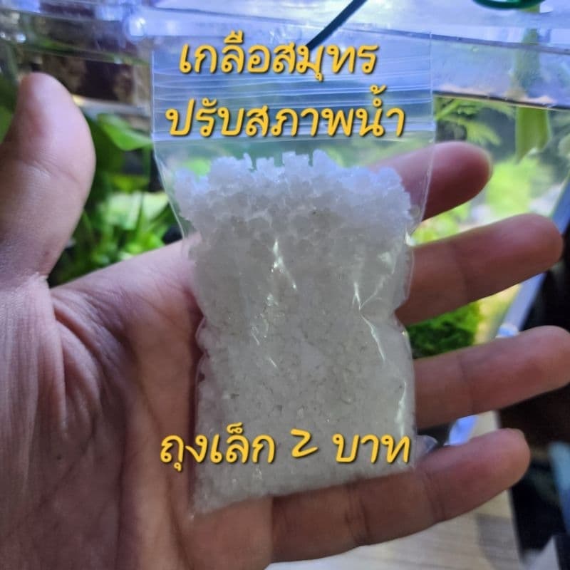 เกลือสมุทร ตู้ปลา ปรับสภาพน้ํา ลดคลอรีน รักษาแผลปลา เกลือเม็ดใหญ่ รักษาปลากัด ล้างโหลปลา รักษากุ้ง