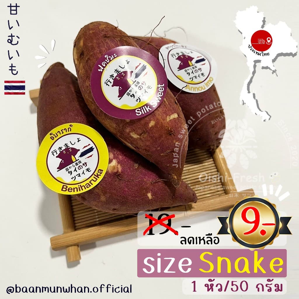 Oishi-Fresh จิ๋วสุด มันหวาน 3 สายพันธุ์ 🍠ไซต์Snack🍠🇹🇭ปลูกไทย🇹🇭 แบบดิบ🍠เนื้อเหลืองนุ่ม หอมหวาน 50-100…