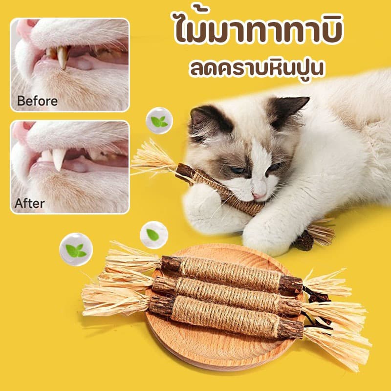 ไม้แมวเมา ไม้มาทาทาบิ ขัดฟันแมว ไม้ขัดฟัน ลดคราบหินปูน ของเล่นแมว ไม้แปรงฟันแมว