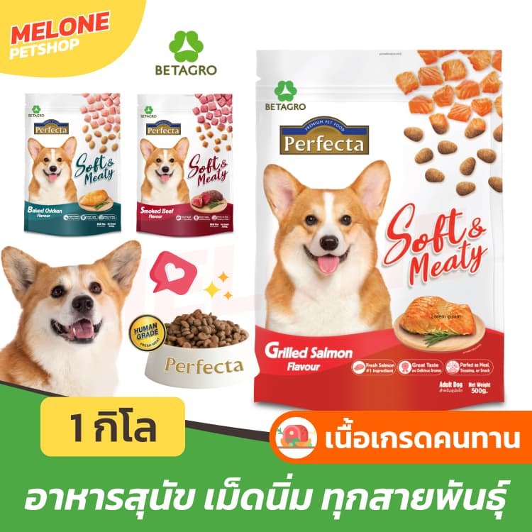 Perfecta Soft & Meaty อาหารสุนัข เพอเฟคต้า ซอฟต์ สุนัขโต เม็ดนิ่ม เม็ดเล็ก รส ไก่ เนื้อ แซลมอน 1kg