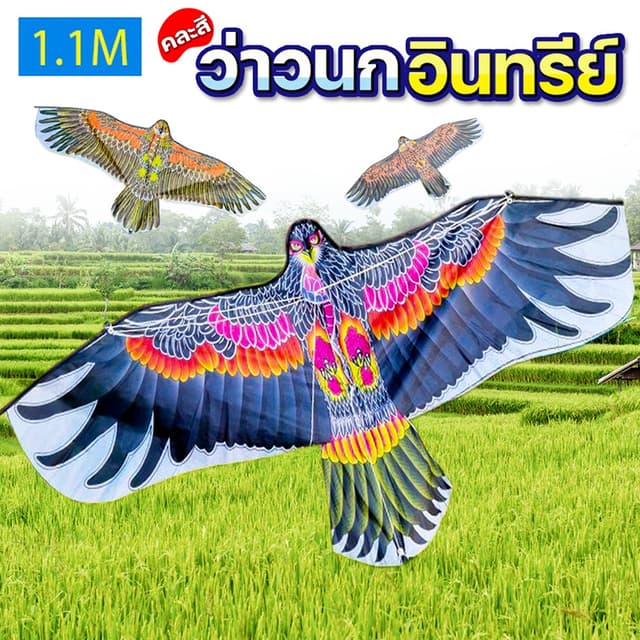 ว่าว ว่าวไล่นก ว่าวนกอินทรีย์ตัวใหญ่ 1.1เมตร ของเล่นกลางแจ้งสําหรับเด็ก ราคาถูก