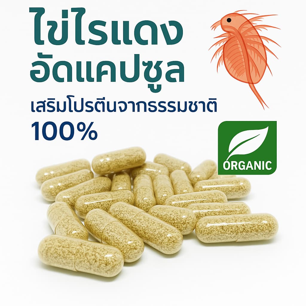 ไข่ไรแดง มาโคร (Moina Macrocopa) 🦐 ในแคปซูลใหญ่เบอร์1 🚚 ส่งฟรีส่งทุกวันอาหารปลาสําหรับลูกปลาแรกเกิด รูปที่ 1