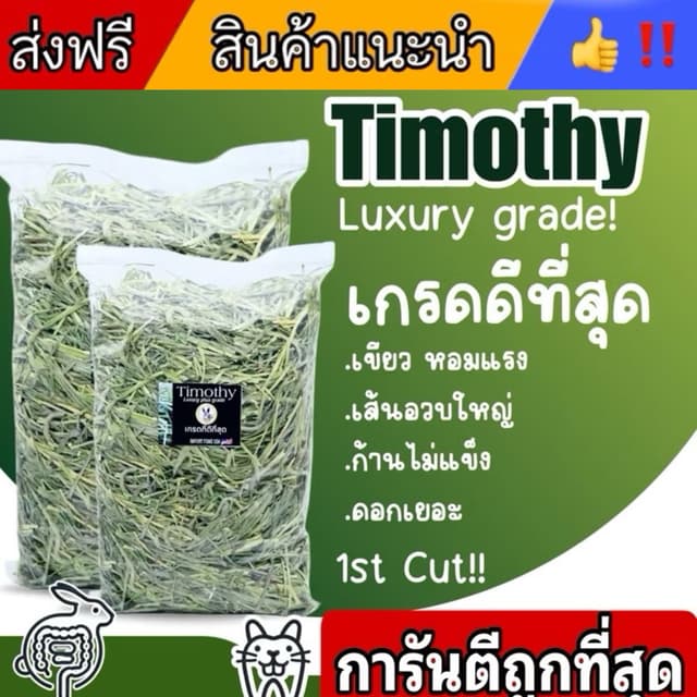 best 1st 📌มี7เกรดมีทุกแบบในไทย หญ้ากระต่ายทิมโมธี