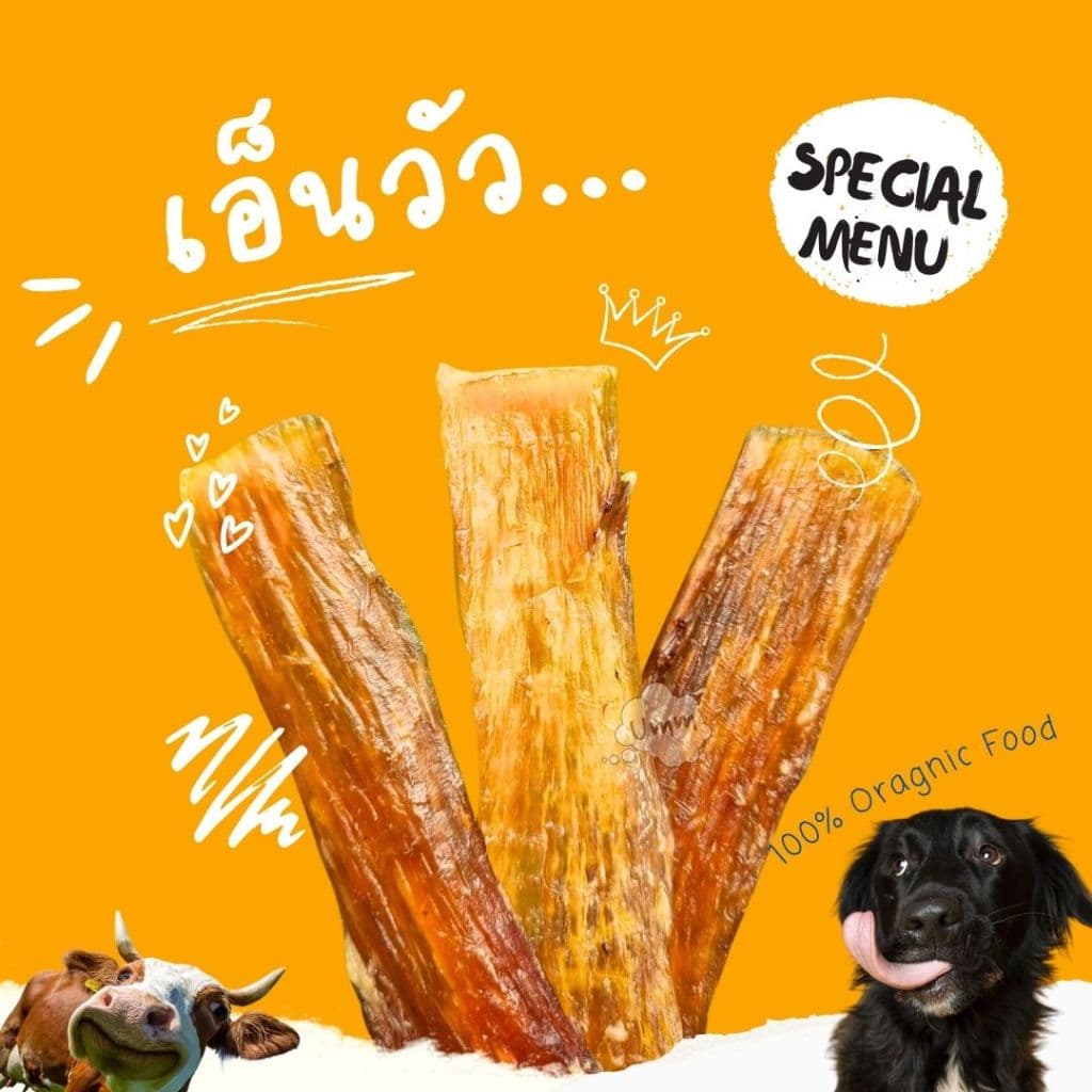 umm pet เอ็นวัวอบแห้ง Backstrap Tendon ขัดฟันน้องหมา ขนมสุนัข umm ขนมหมา รูปที่ 1