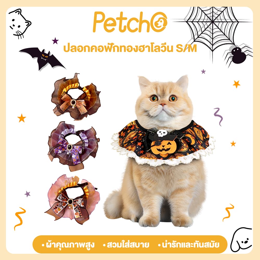 Petcho ปลอกคอแมว ปลอกคอสุนัข ฮาโลวีน ลายฟักทอง ปลอกคอฮาโลวีนสําหรับสัตว์เลี้ยง Happy Halloween