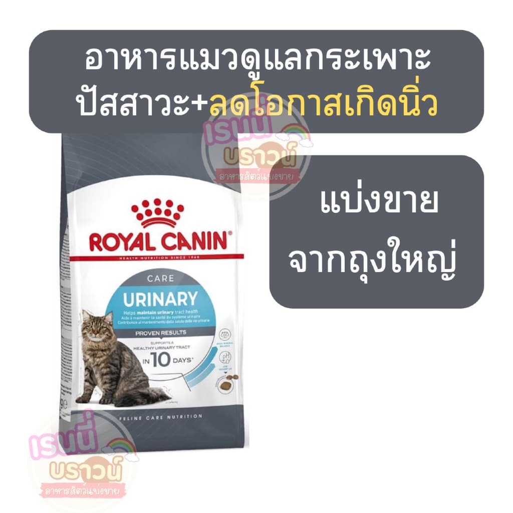 ️ส่งด่วนมาก ️[แมวลดการเกิดนิ่ว](แบ่งขาย) อาหารแมวที่ดูแลสุขภาพทางเดินปัสสาวะแบบเม็ด URINARY CARE