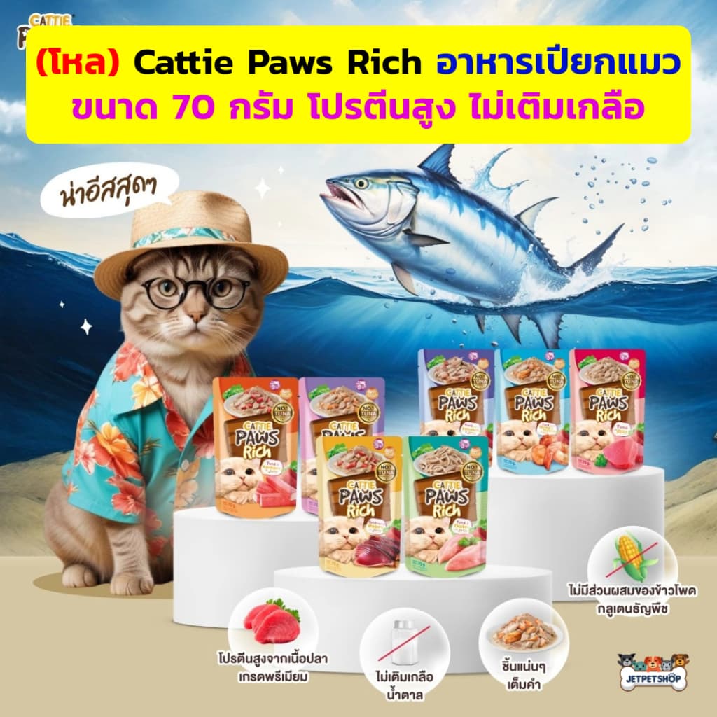 (โหล) Cattie Paws Rich อาหารเปียกแมว โปรตีนจากปลา ไม่เติมเกลือ (12x70g) รูปที่ 1