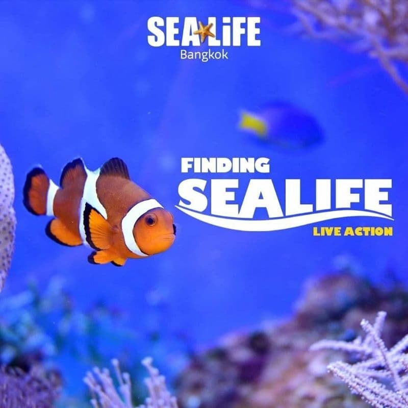Sealife Bangkok ซีไลฟ์โอเชี่ยนเวิลด์ *ส่งรหัสทางแชทเท่านั้น*
