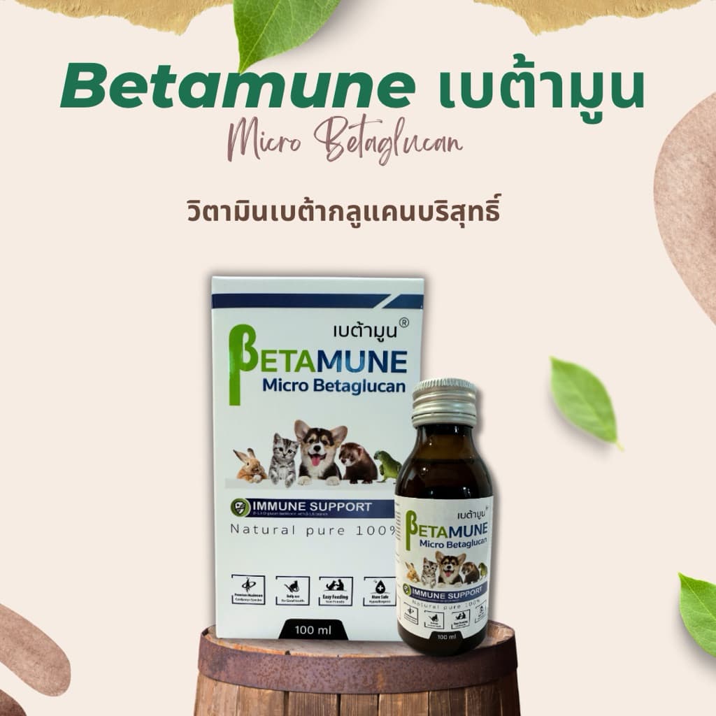 Betamune เบต้ามูน ล๊อตใหม่มีกล่อง ของแท้ตัวแทนจําหน่ายตรง กระตุ้นภูมิสุนัข แมว เอ๊กโซติคเพ็ท…