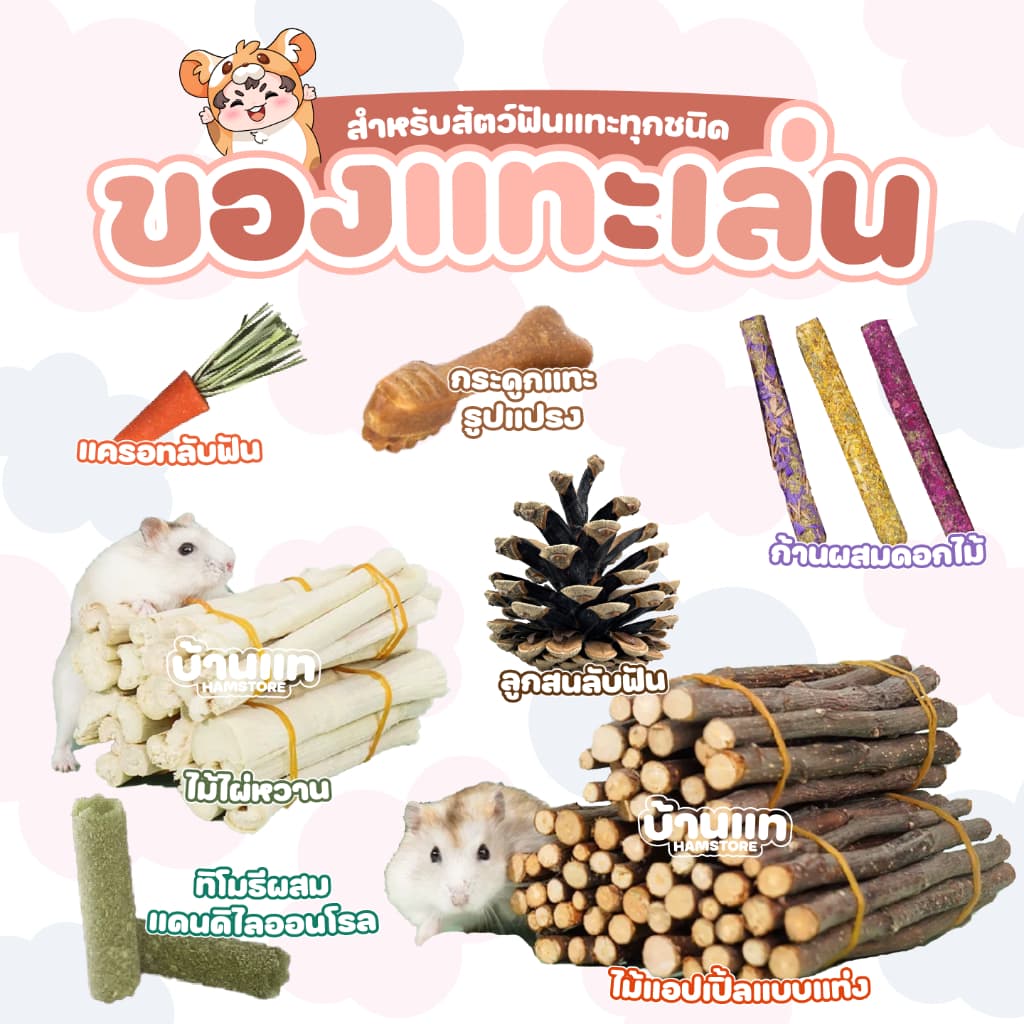 ของเล่นสําหรับลับฟัน ของเล่นติดกรง เพื่อสุขภาพฟันที่ดีของแฮมสเตอร์และสัตว์ฟันแทะทุกชนิด
