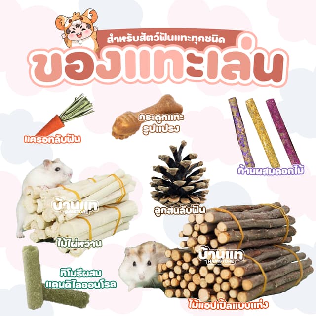 ของเล่นสําหรับลับฟัน ของเล่นติดกรง เพื่อสุขภาพฟันที่ดีของแฮมสเตอร์และสัตว์ฟันแทะทุกชนิด