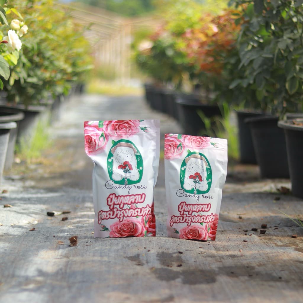 ปุ๋ยกุหลาบ สูตรบํารุง ครบส่วน คุ้มค่า ดอกไม้ตกแต่งบ้าน สวยงามไว้ใจ Candy Rose