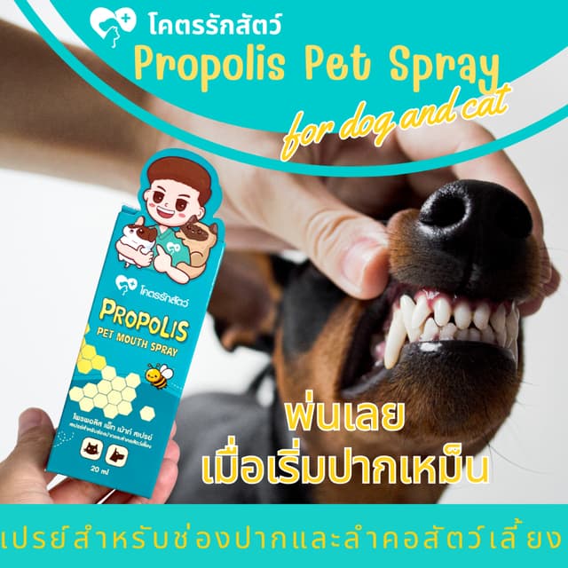 สเปรย์พ่นปากสัตว์เลี้ยง โพรพอลิส โคตรรักสัตว์ Spray 20 มล.