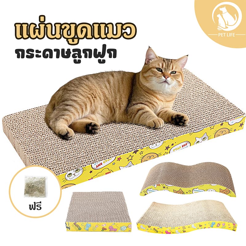 กระดานลับเล็บแมว กระดานลูกฟูกลับเล็บแมว ทนต่อการสึกหรอและไม่หลุด มีหลากหลายรูปทรงให้เลือก ที่ลับเล็บแมว…