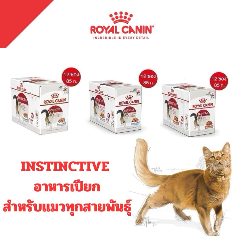 Royal Canin Instinctive อาหารเปียก รอยัลคานิน เพาซ์ สําหรับแมวทั่วไป 85g*12ซอง