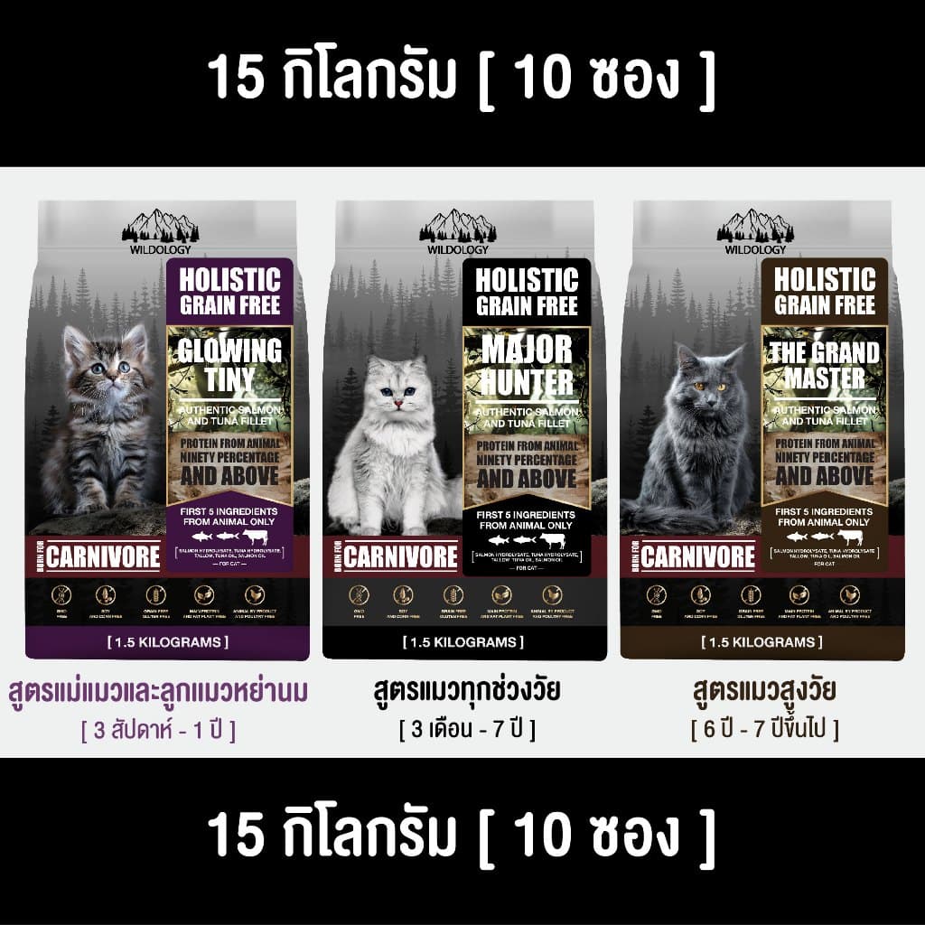 WILDOLOGY อาหารแมวแบบเม็ดเกรด Holistic Grain Free มีให้เลือกทุกช่วงวัย