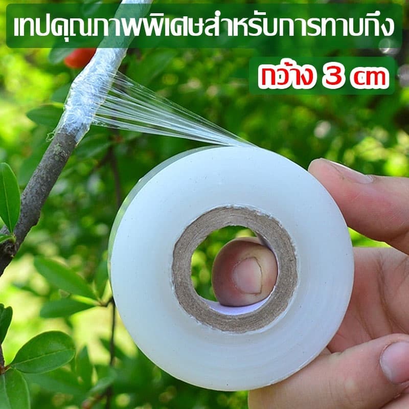 3cmx200m เทปพันกิ่งไม้ อุปกรณ์ทําสวน เทปพันตอนกิ่ง อุปกรณ์การเกษตร เทปพันกิ่งทาบ พลาสติกทาบกิ่ง…