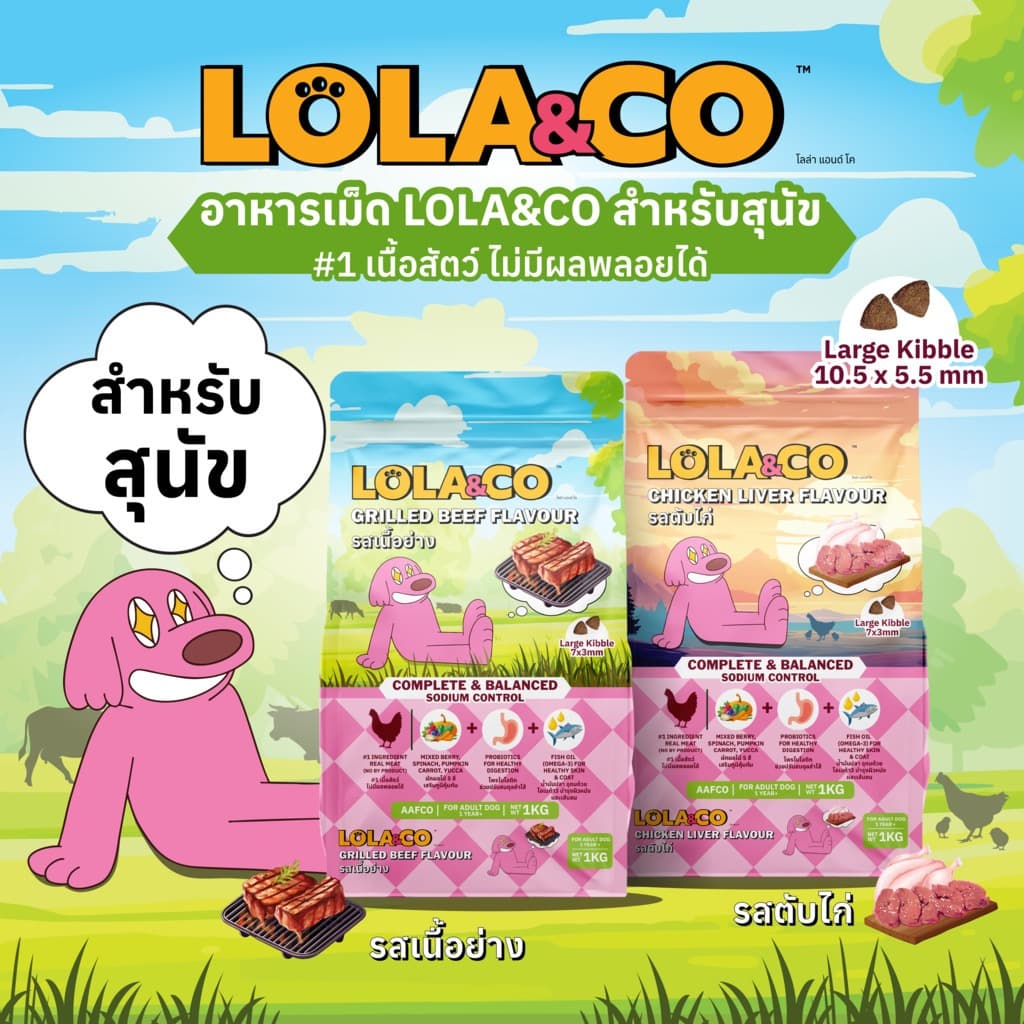 (1kg) Lola&Co โลล่าแอนด์โค อาหารเม็ดสุนัข สําหรับสุนัขโต ขนาด 1 kg.