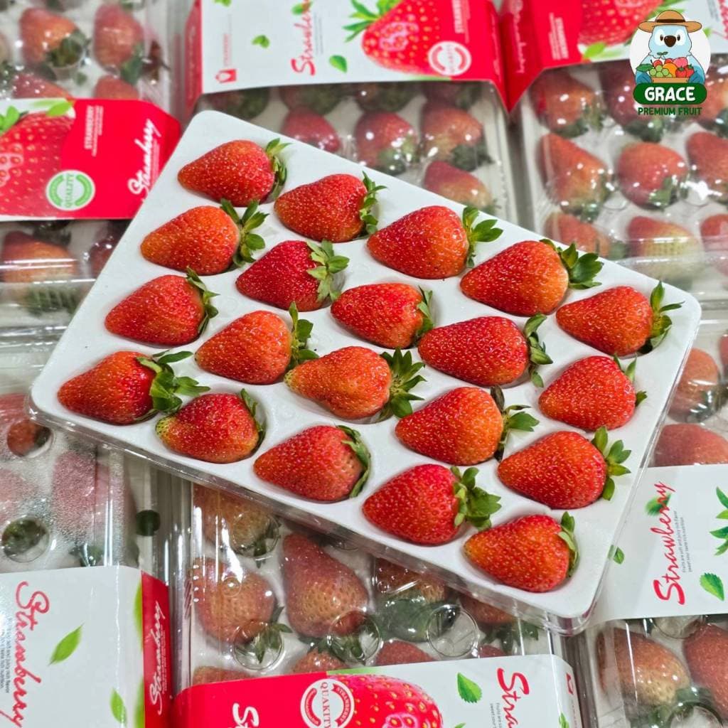 🍓 สตอเบอรี่สด 🍓 แพ็ค 20-24 ลูก โปรดอ่านรายละเอียดก่อนสั่งซื้อ รูปที่ 1