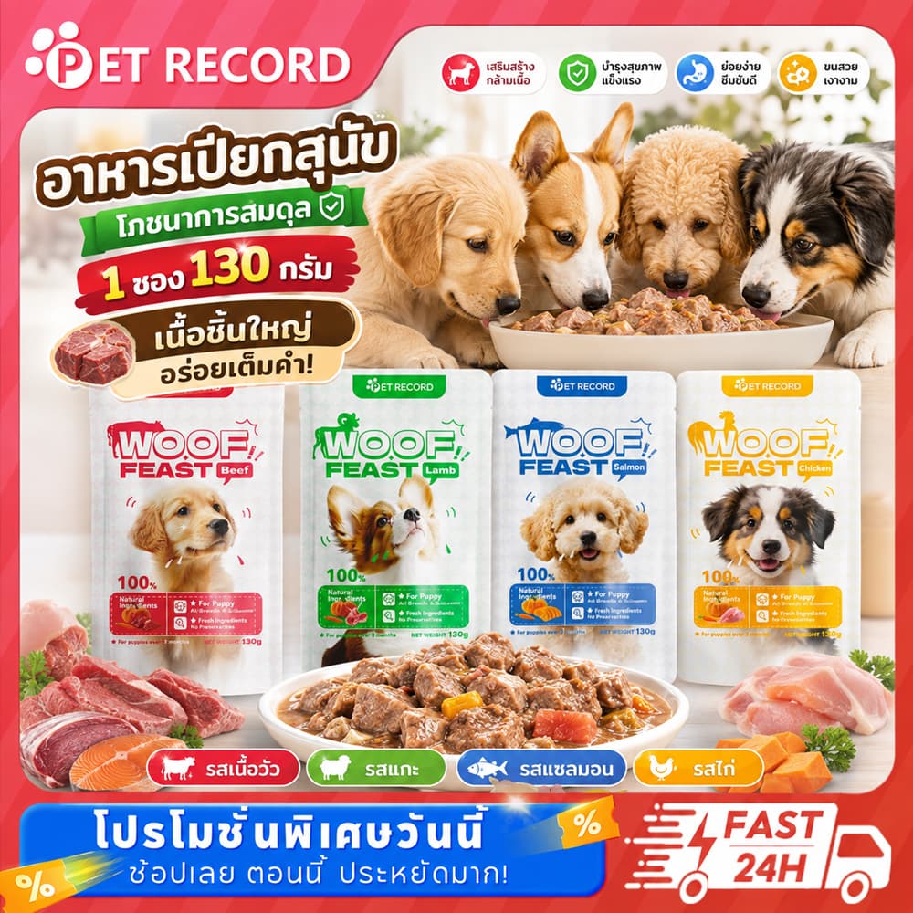 อาหารสุนัข อาหารเปียก อาหารเปียกสุนัข โปรตีนสูงสุด สําหรับลูกสุนัข สุนัขโต อาหารเสริมสุขภาพ
