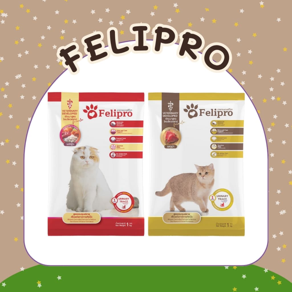 Felipro เฟลิโปร อาหารเม็ดแมว 1 kg 20 ถุง