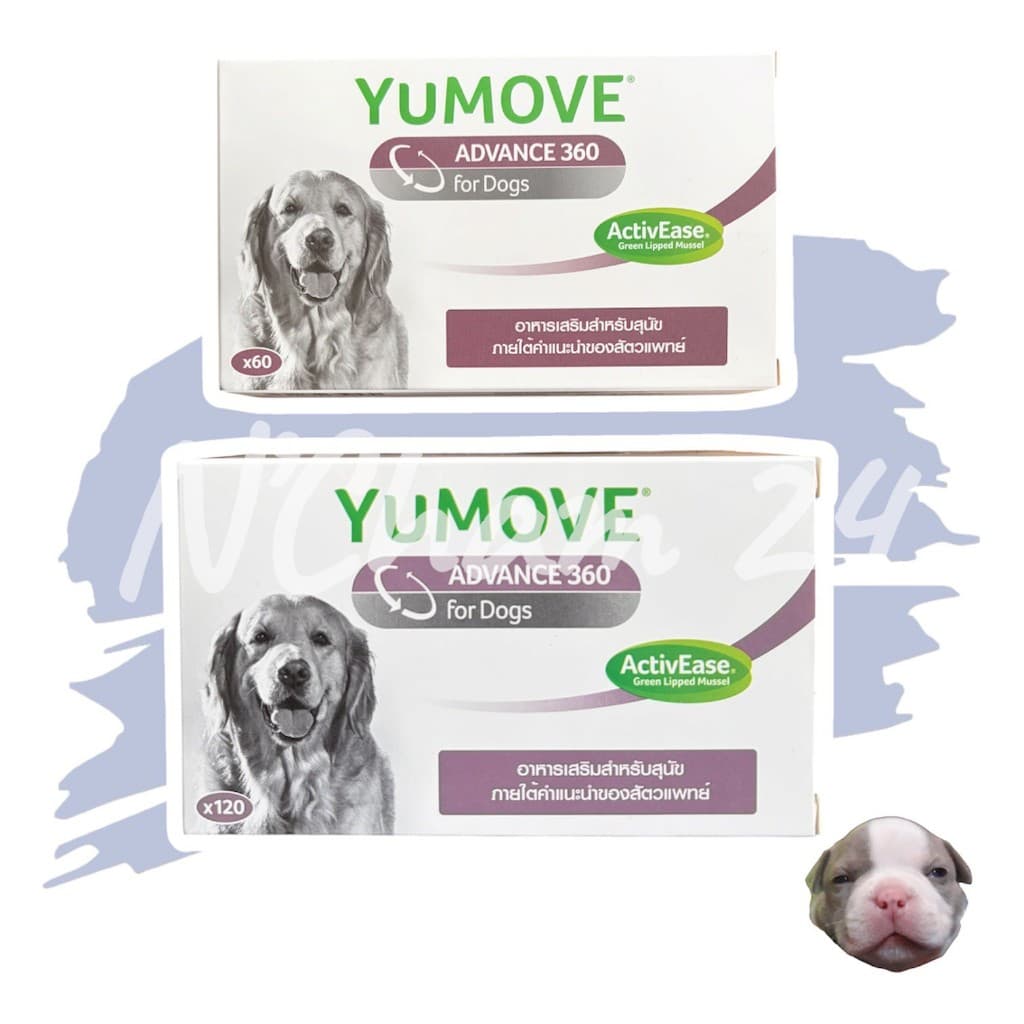 Yumove advance 360 Dog (สูตรใหม่) หมดอายุ03/2028 อาหารเสริมบํารุงข้อ กระดูก ทําจากธรรมชาติ