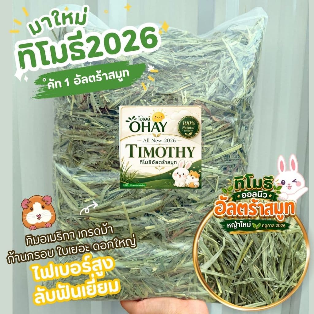 Ohay หญ้าทิมโมธี ซุปเปอร์พลัสเก็บเกี่ยวใหม่ 6/2026 สําหรับกระต่าย แกสบี้ แพรี่ด็อก ชินชิล่า