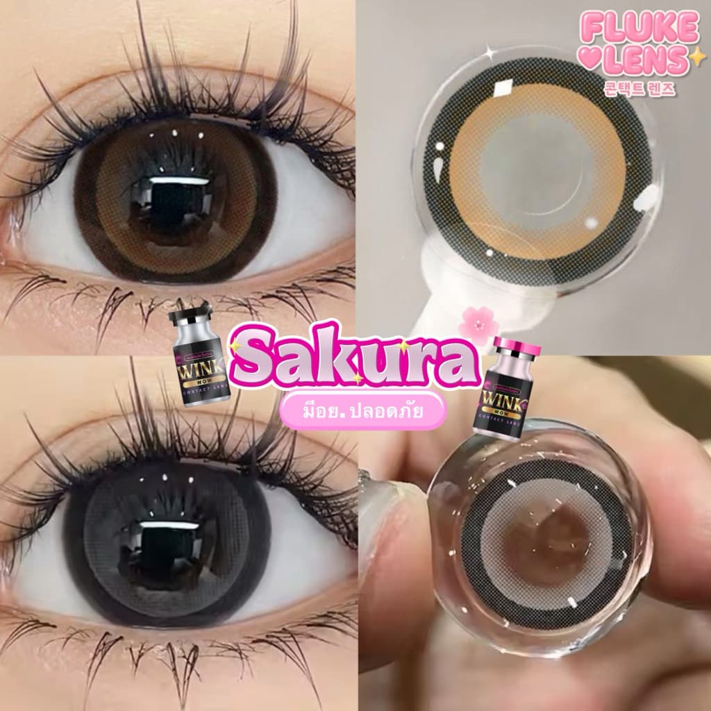 New Lot 🌸 Sakura 🌸 คอนแทคเลนส์(ตาโต) รุ่นยอดฮิต ซากุระ แบรนด์ winkwow roze ผลิตที่เกาหลี ของแท้ Made in…