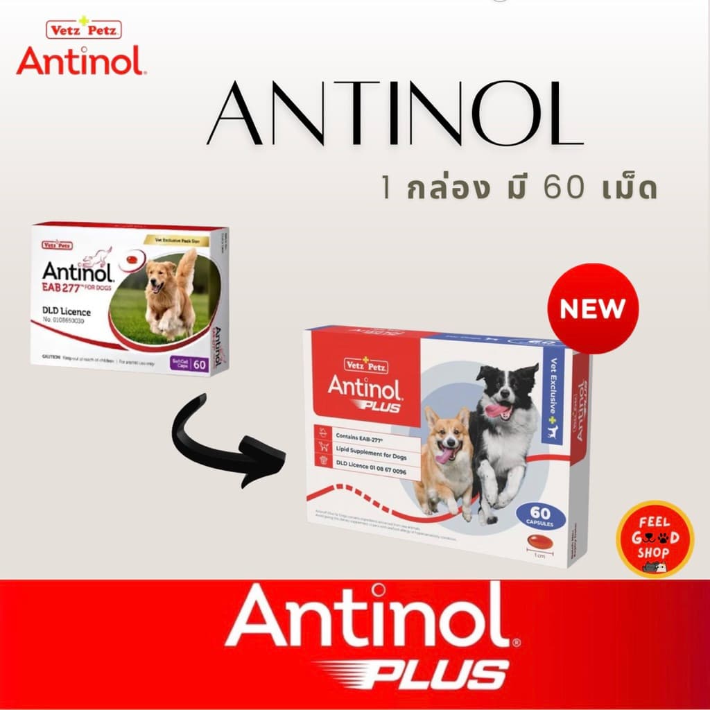 (แพคเกจใหม่ ยกกล่อง ) Antinol Dog exp 02/2028 อาหารเสริมบํารุงข้อสําหรับสุนัข 1 กล่อง บรรจุ 60 เม็ด รูปที่ 1