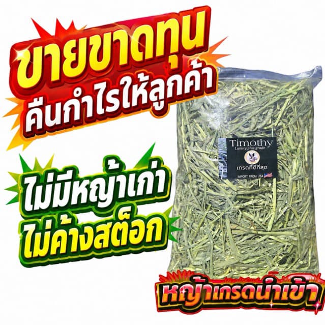 หญ้าทิโมธีเกรดลัคชูรี่ ทิมโมธี หญ้ากระต่าย หนูแกสบี้ เกรดที่หญ้าหอมและเขียว ร่อนฝุ่น