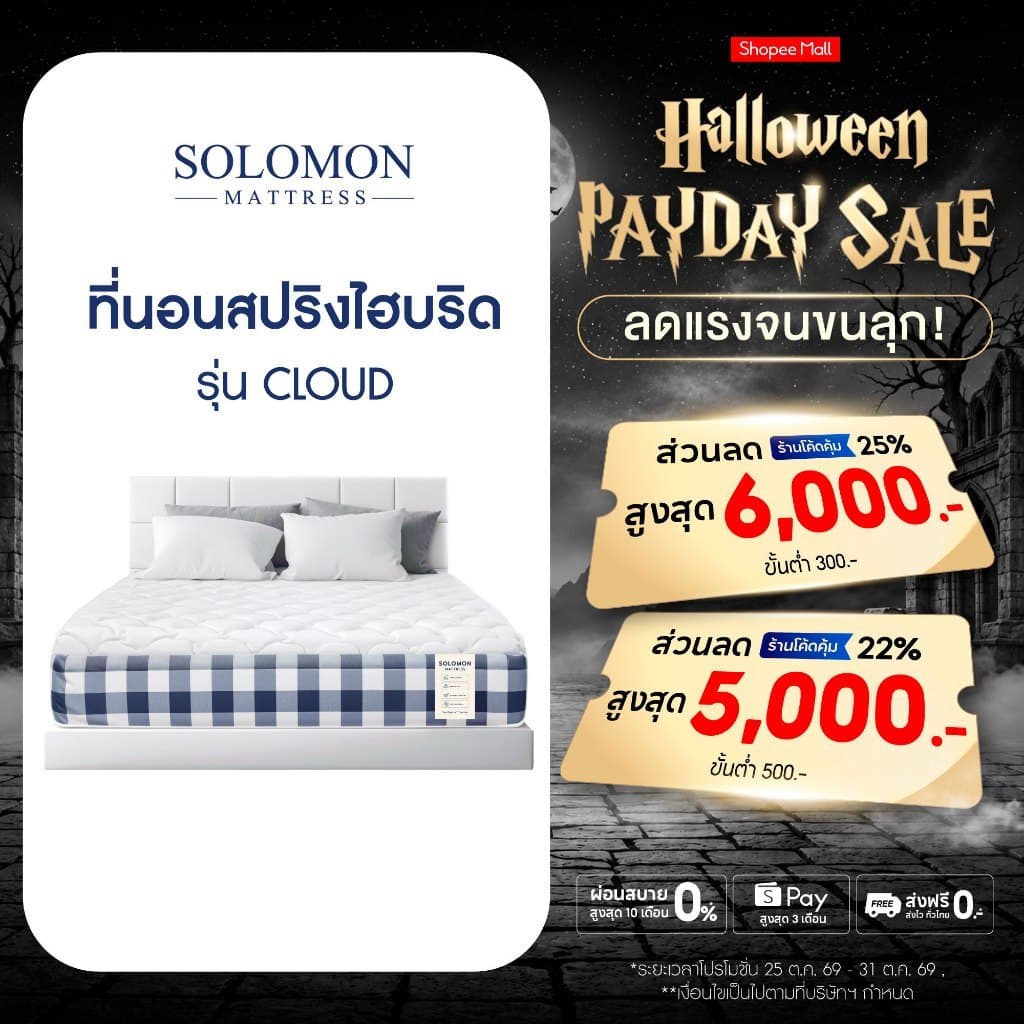 Solomon ที่นอนสปริง เกรดโรงแรม หนา 10 นิ้วสปริงไฮบริด รุ่น Cloud