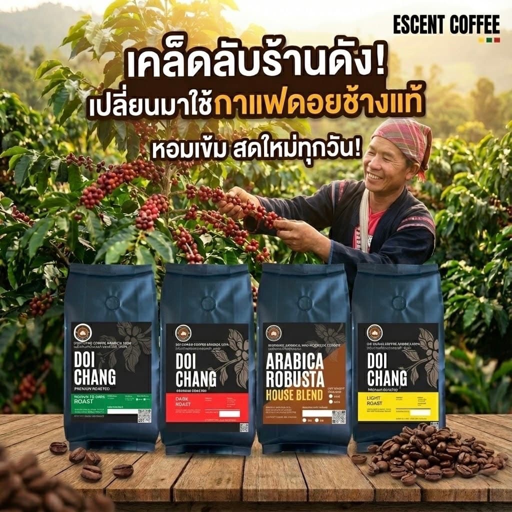 กาแฟ อาราบิก้า 100% (เกรด Aคละ) ดอยช้าง เชียงราย (ขนาด 500 กรัม)