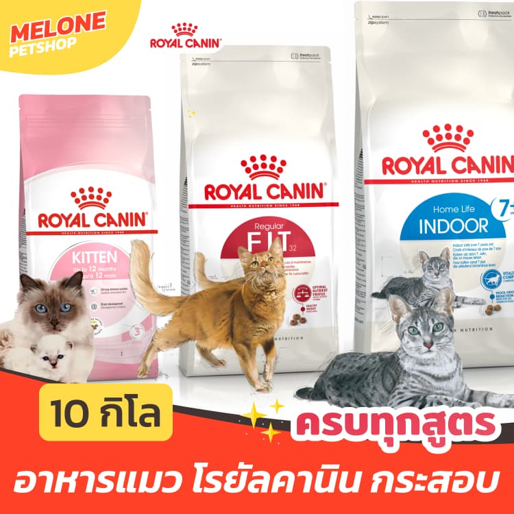 Royal Canin โรยัลคานิน อาหารแมว Fit Indoor ลูกแมว Kitten แมวแก่ 7+ / Hair Skin / Urinary 10 kg