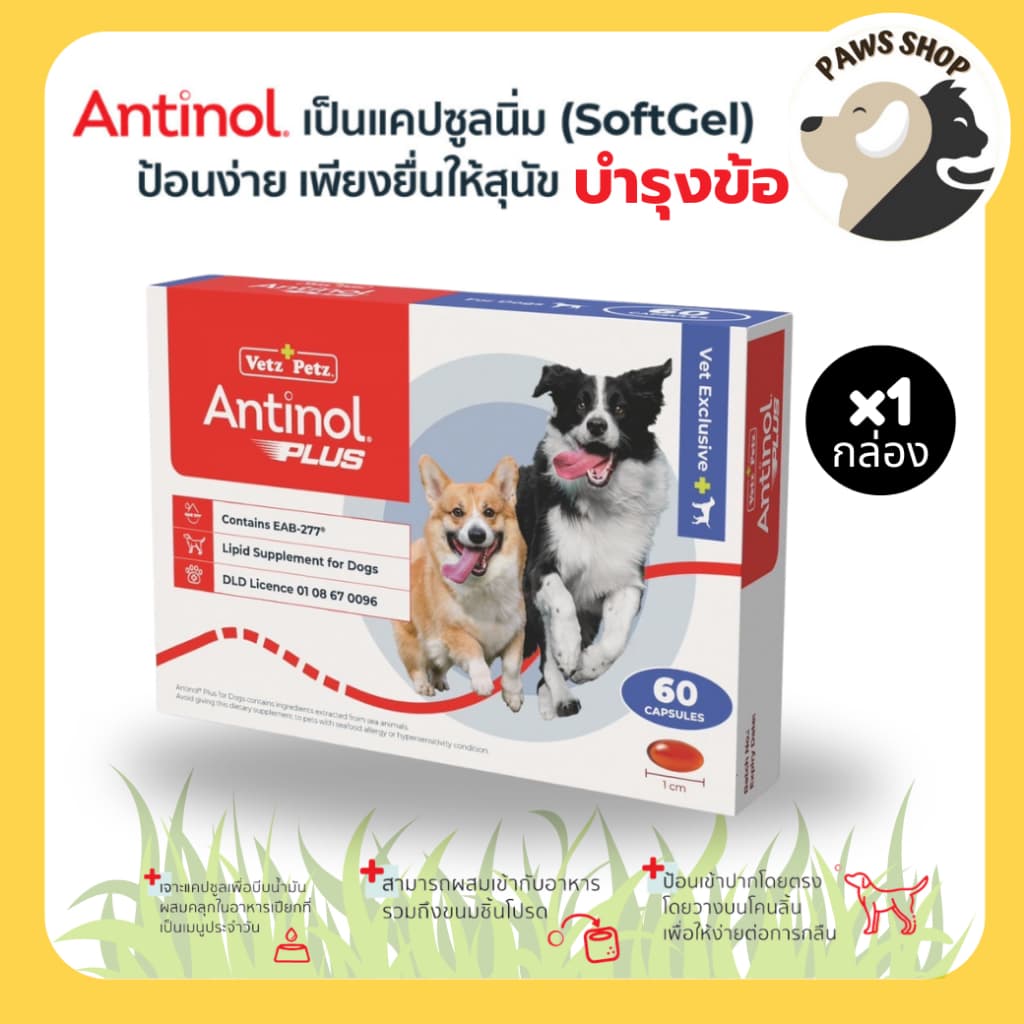 แอนทินอล Antinol® EAB 277TM บํารุงข้อ กระดูก สุนัขทานได้ตั้งแต่ 6 เดือนขึ้นไป