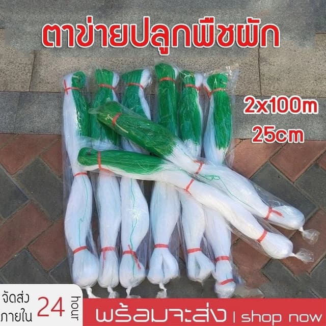 2*100mตาข่ายปลูกผัก โครงไม้เลื้อย ตาข่ายปลูกแตงกวา ตาข่ายทําค้าง ตาข่ายปลูกถั่วอุปกรณ์ทําสวนของแต่งสวน…