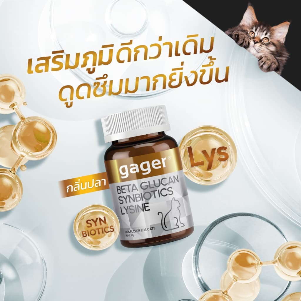 Gager (กาเจอร์) วิตามินแมว 3in1 เบต้ากลูแคน+ไลซีน+ซินไบโอติก เสริมภูมิแมว กลิ่นปลา (มีตัวเลือก)