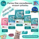 Purina ONE อาหารเปียกแมว เพียวริน่าวัน เกรดพรีเมี่ยม ในน้ําเกรวี่ ขนาด 70 กรัม