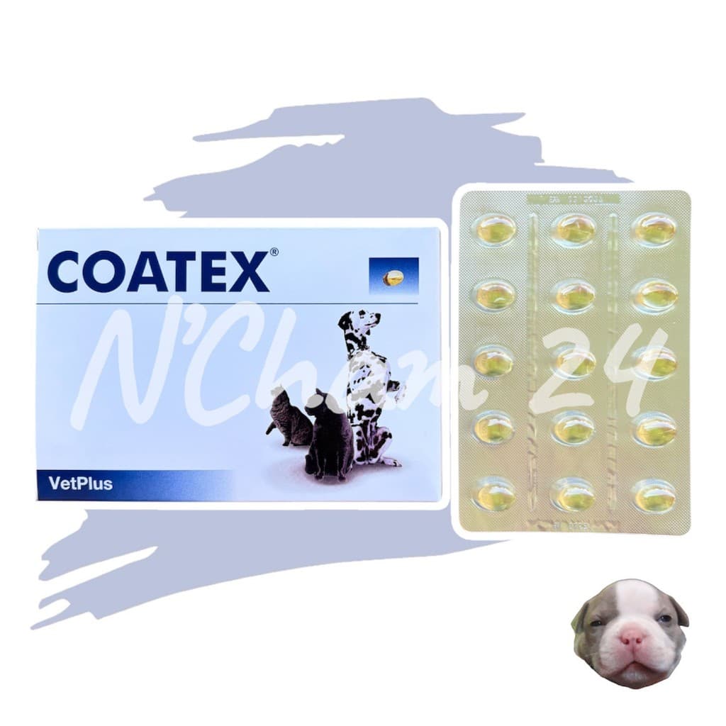 Coatex แบ่งขาย 15 caps (หมดอายุ06/2027) อาหารเสริม บํารุงขนและผิว แบบเม็ด สําหรับสุนัข