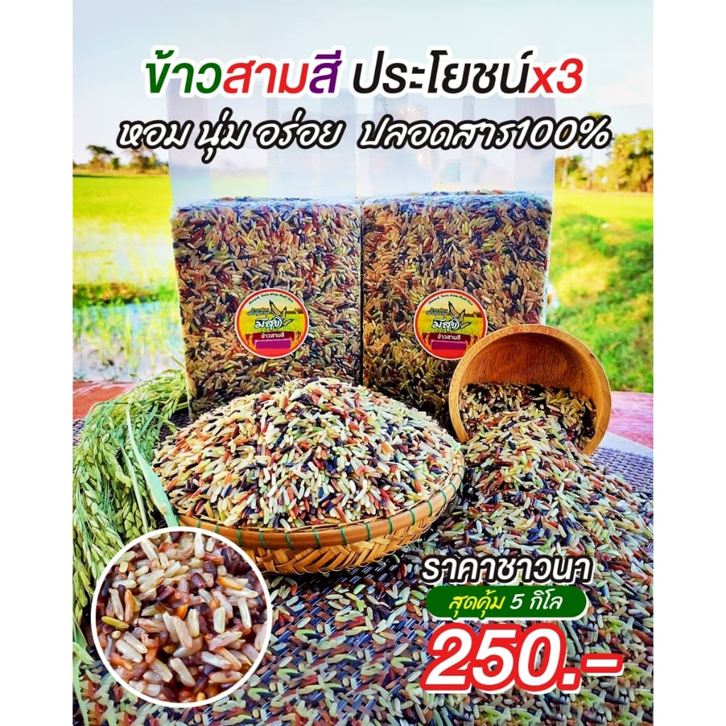 ข้าวกล้องสามสี 5 กิโลกรัม ตรามีสุข (ไรซ์เบอร์รี่+กล้องแดง+กล้อง กข.43) รูปที่ 1