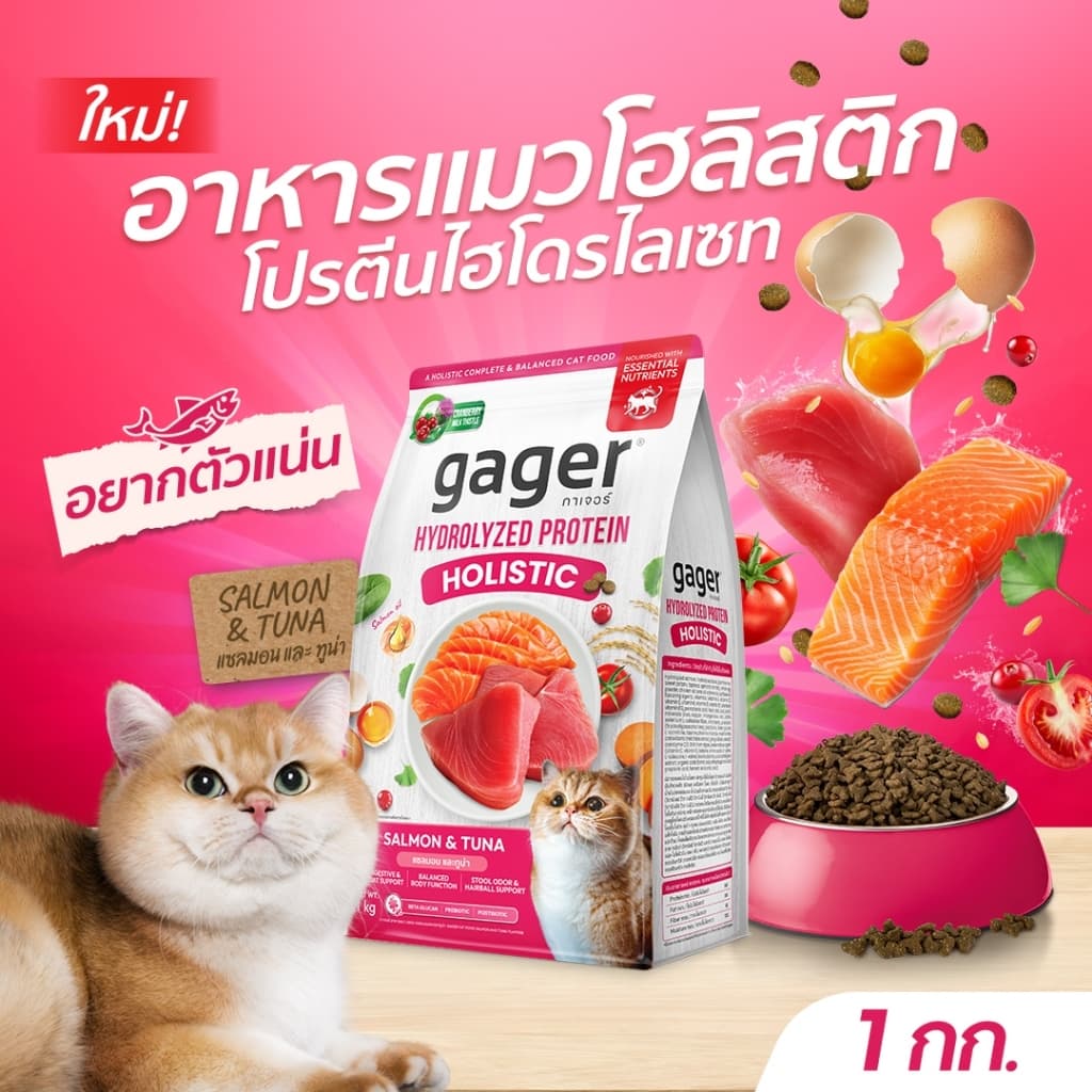 Gager อาหารแมว กาเจอร์ โฮลิสติก เสริมวิตามิน เพื่อสุขภาพ พัฒนาโดยสัตวแพทย์ สูตรแซลมอนและทูน่า (ขนาด 1…