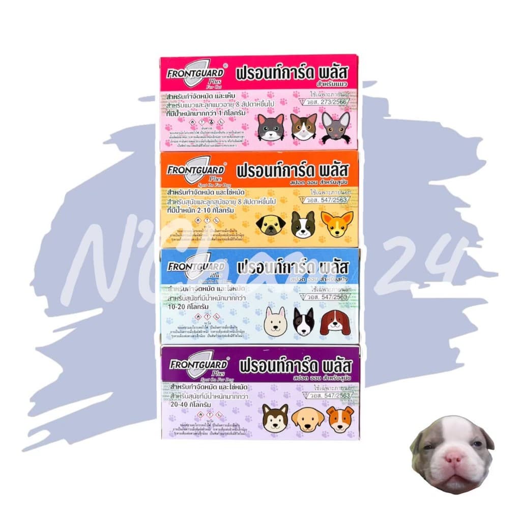 Frontguard Plus จํานวน 1 หลอด ยาหยอดกําจัดเห็บและหมัด ไข่หมัด ตัวอ่อน ตัวเต็มวัย สําหรับสุนัขและแมว