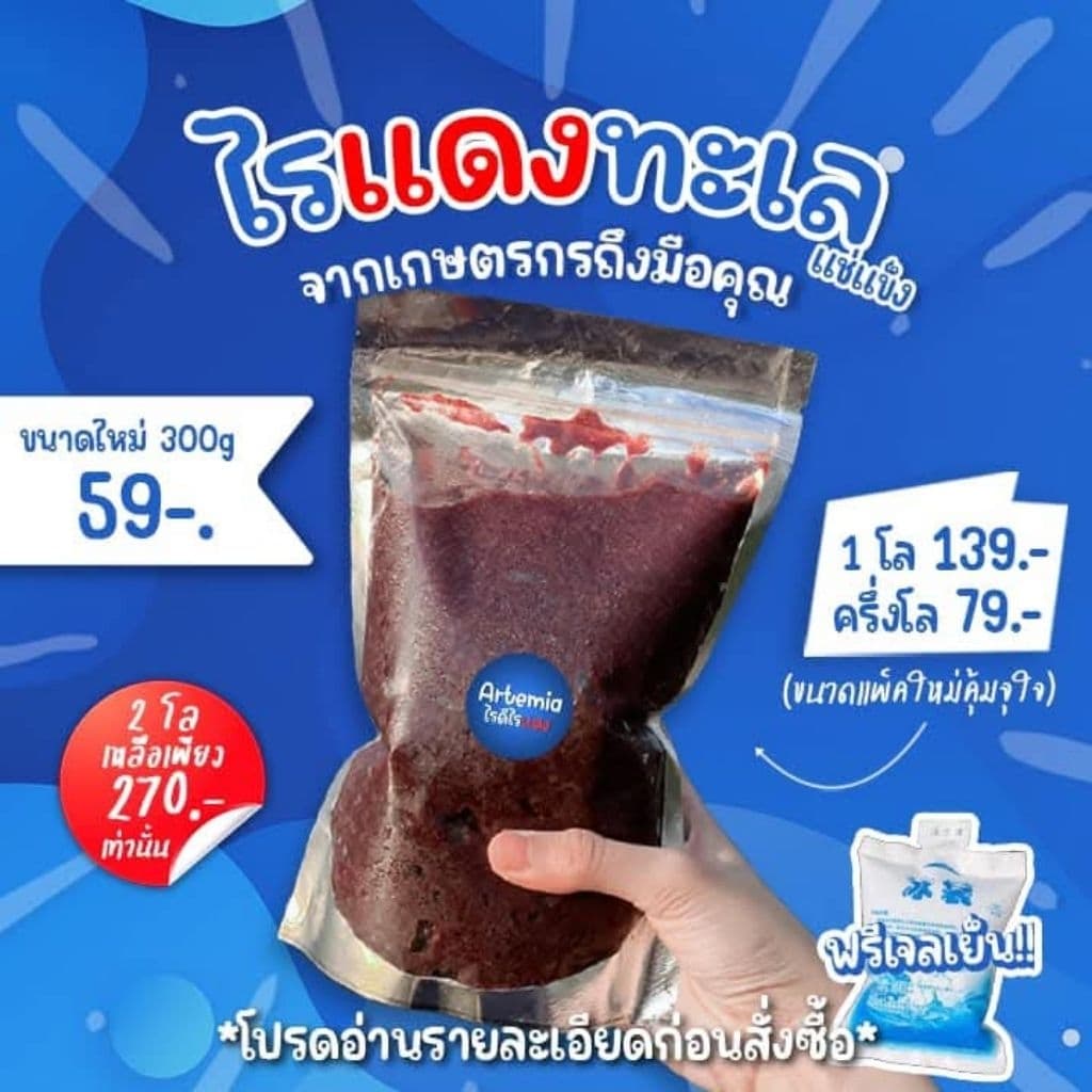 💙จัดส่งทุกวัน อ พฤ ศ💙 ไรทะเลแช่แข็ง อาร์ทีเมีย อาหารสดสําหรับปลา โปรตีนสูง…