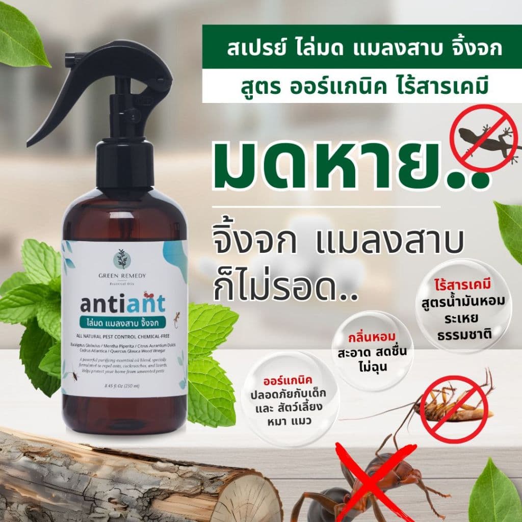 Anti-ANT สเปรย์ไล่มด ไล่แมลงสาบ ไล่จิ้งจก กําจัดปลวก มด จิ้งจก แมลง สูตรออร์แกนิค 100% 250 ml
