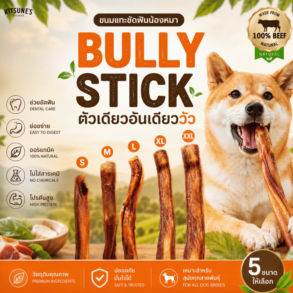 (อบใหม่ หอมๆ พร้อมส่ง) ตัวเดียวอันเดียววัว จู๋วัว - Bully Stick ขนมขัดฟันสุนัข ขนมน้องหมา