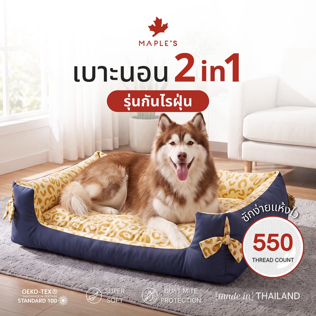 MAPLE'S เบาะสัตว์เลี้ยง2-in-1 รุ่นจัมโบ้ สําหรับสัตว์เลี้ยงขนาดใหญ่ เตียงสุนัข เบาะหมา ที่นอนเเมว