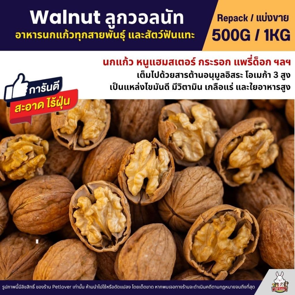 วอลนัท Walnut สําหรับนกแก้ว หนูแฮมสเตอร์ กระรอก แพรี่ด็อก และสัตว์ฟันแทะ (แบ่งขาย 500G / 1KG)