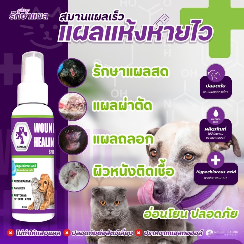AEXHUQ สเปรย์นาโน พ่นแผลสุนัข-แมว ฟื้นฟูเร็ว สําหรับสัตว์เลี้ยง 100 ml.