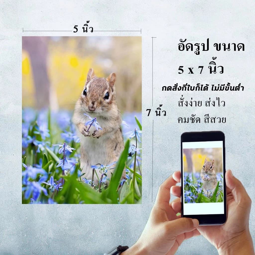 ปริ้นรูป อัดรูป 5x7 นิ้ว ใหญ่เต็มตา สุดคุ้ม กดสั่งกี่ใบก็ได้ ไม่มีขั้นต่ํา คุณภาพดี สีสด เครื่องเลเซอร์…