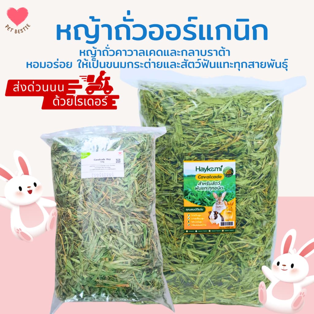หญ้าถั่วคาวาลเคด ออร์แกนิค ไร้ฝุ่น | ขนมกระต่าย ชินชิลล่า แกสบี้ (200g/500g)🌿🐰